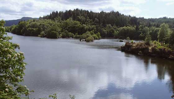Route 1 – Llyn Elsi Short