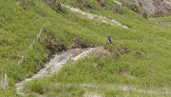 A long way up!