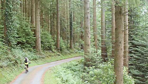 Route 3 – Sarn Helen