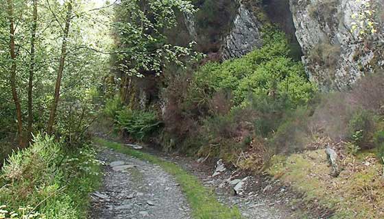 Lledr valley short loop