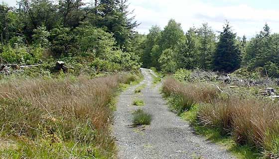 LLedr Valley long loop